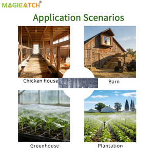 Pièges à colle transparents professionnels pour rats, en vrac, avec 2 options de taille, pour les entreprises de lutte antiparasitaire et l'entretien des bâtiments commerciaux - Product Image 6