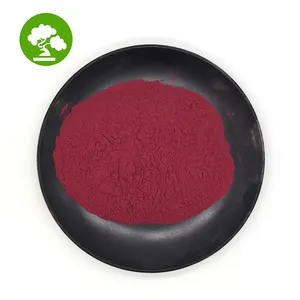 Wholesale High Quality Black Bean Red Color in Bulk Food Coloring