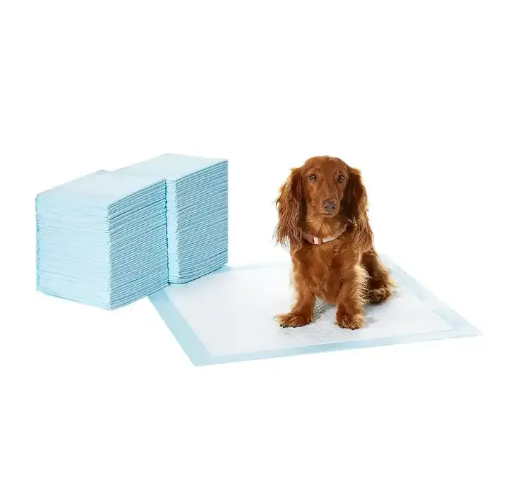 Surface à séchage rapide pour tapis d'entraînement de pot avec 5 couches de conception anti-fuite Basics Dog and Puppy Pee Pads