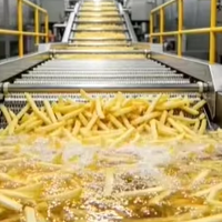 Commerciële productielijn voor frieten, hoog-efficiënte aardappelverwerkingsmachines, turnkey-oplossing
