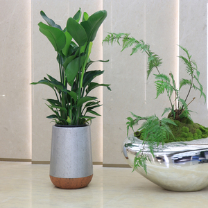 Leizisure Pot de fleurs antique de haute qualité grand cylindre grandes jardinières <span class=keywords><strong>pour</strong></span> plantes d'extérieur intérieur décor à la maison Macetas De Plastico - Product Image 3