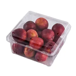 Quadratische Clam shell Frische Früchte Klare PET-Box Verpackungs behälter Perforierte Kunststoff-Tomaten-Kirschfrucht-Punnets-Boxen