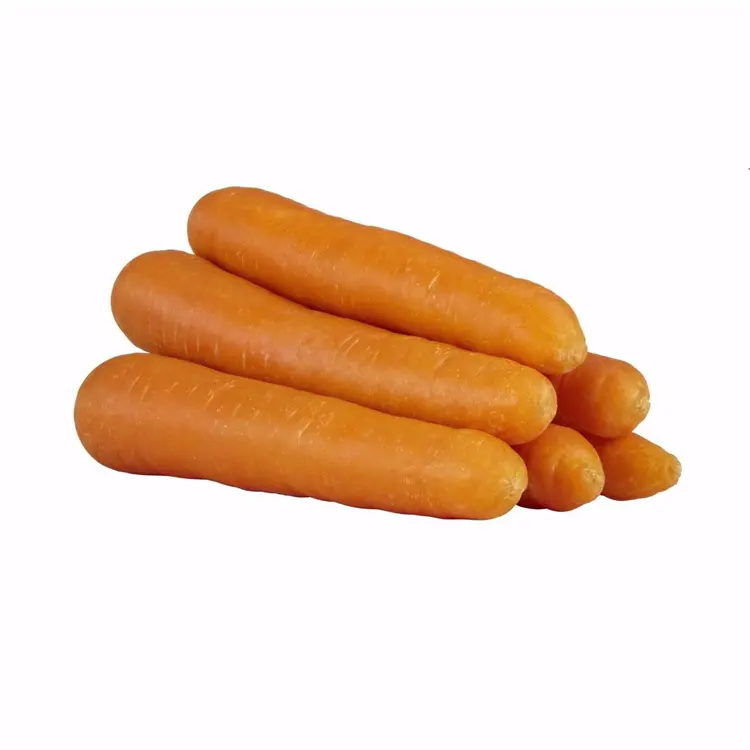 Chinese Fresh Carrots 4 KG Carton Export to Dubai Wholesale Competitive Price Fresh Vegetables