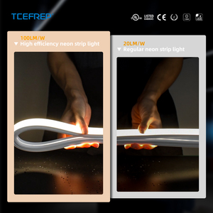 Neón Flexible LED de 20*20mm para Exteriores, Curvado Superior, 24V, CRI90, Silicona, de Fábrica - Product Image 3