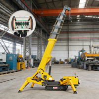 Mini-grue araignée durable de 1 tonne pour la construction en espace confiné avec télécommande