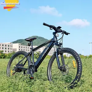 Heiße hochwertige E-Bike China Hersteller angepasst 13Ah Elektro fahrrad 36V/48V 250W/350W/500W/750W Elektro fahrrad