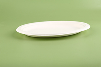 Bagasse de canne à sucre de forme ovale blanche ou naturelle pour assiette à dîner en bagasse de canne à sucre