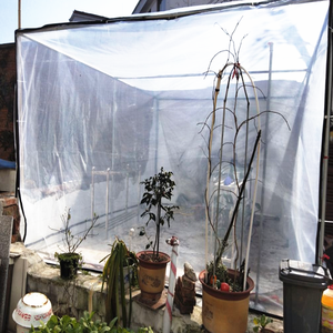 Bâche <span class=keywords><strong>de</strong></span> jardin et <span class=keywords><strong>de</strong></span> balcon en tissu imperméable PE transparent personnalisé Couverture <span class=keywords><strong>de</strong></span> protection des plantes Bâche <span class=keywords><strong>de</strong></span> film pour serre - Product Image 5