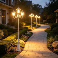 Lampadaires LED de jardin extérieurs personnalisés en usine, grande taille, style européen classique, en aluminium, IP65, éclairage paysager