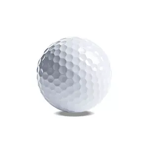 Logo kustom kualitas tinggi warna putih 5 buah bola Golf latihan Surlyn