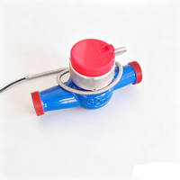 32mm Diameter Electronic Hot Water Meter with Remote Transmission
