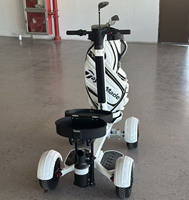 Scooter de golf électrique pliable tout-terrain à 4 roues pour parcours de golf, chariot de golf, chariot électrique