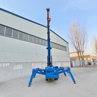 Mini-grue araignée personnalisable à moteur diesel, moteur Weichai, garantie 3 ans, grue hydraulique portable à commande à distance