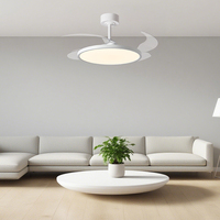 Smart 220V Acrylique LED Haut-Parleur Ventilateur de Plafond avec Lumière et Télécommande Moderne Invisible Ventilateur de Plafond pour Chambre Salon