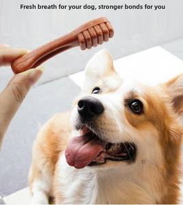 OEM ODM Bâtonnet à mâcher pour chien, brosses à dents et bâtonnets molaires, saveur bœuf, pour le nettoyage dentaire, l'entraînement, la santé intestinale et la prévention du tartre et de la plaque dentaire - Product Image 1