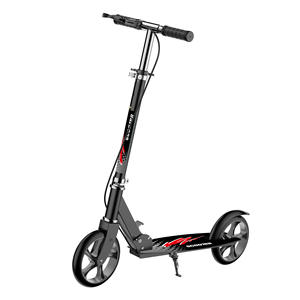 Verstellbarer Lenker Roller für Kinder 2 Große Räder Kinderroller Robuster Stahlrahmen Faltbarer Kinder-Kickroller - Product Image 6