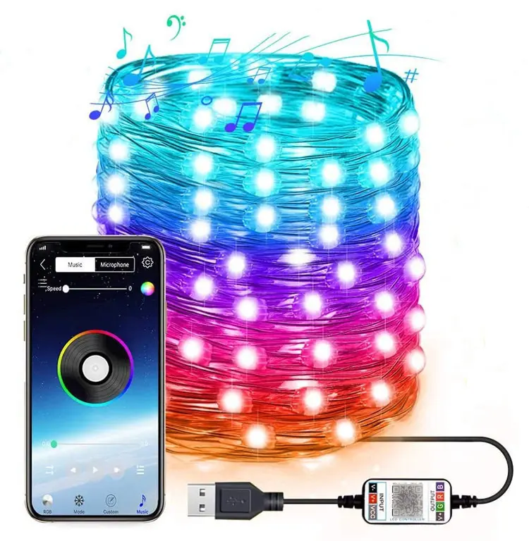 Intelligent Control Copper Lamp Mobile Phone App RGB Rechargeable String Lights For Christmas Halloween Decoration