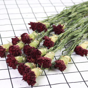 Fleurs de carnation séchées naturelles en gros pour la décoration de mariage, la décoration de la maison, les travaux manuels et les arrangements floraux - Product Image 4