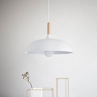 Lampe suspendue moderne de style nordique en métal pour plafond, idéale pour cuisine et restaurant, vente en gros Zhongshan