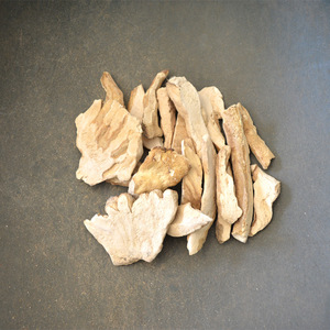 Crudos secos Laetiporus Cincinnatus pollo natural a granel de las maderas basura azufre Polypore estante para la venta - Product Image 3