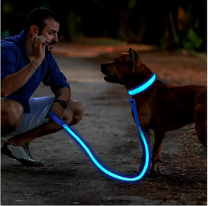Nuevo Diseño, Collar y Correa para Perro con Luz LED Recargable por USB, Reflectante y Antipérdida - Product Image 1