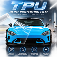 Film de protection de peinture automobile transparent en TPU PPF pour Tesla SUV Sedan, anti-rayures, enveloppe invisible