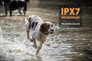 Profesyonel köpek <span class=keywords><strong>e</strong></span>ğitim şok yaka açık uzun mesafe uzaktan elektrik <span class=keywords><strong>e</strong></span>ğitim <span class=keywords><strong>e</strong></span>-yaka avcılık köpek IPX7 ile kutu - Product Image 5