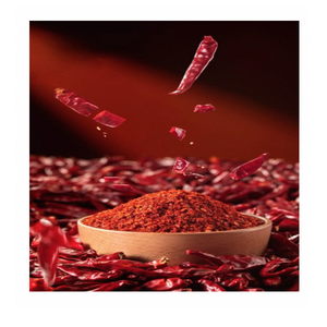 Pimienta Roja en Polvo de Primera Calidad, Ingrediente Alimenticio Natural, Cuidadosamente Procesada con Textura Fina y Aspecto Rojo Brillante - Product Image 2
