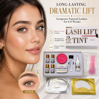 Kit de rehaussement et teinture de cils OEM ODM sous marque privée, teinture pour sourcils à la kératine, waterproof, longue tenue, logo personnalisé, emballage personnalisé