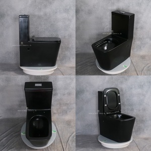 Toilettes sanitaires modernes, toilettes une pièce carrées et évier sur pied, ensemble de toilettes en céramique noire - Product Image 3
