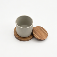 Boîte à sel de l'Himalaya en céramique Kasa Wood avec couvercle et cuillère, récipient de rangement naturel pour le sucre, les épices ou le café