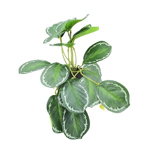 Senmasine Monstera <span class=keywords><strong>Spathiphyllum</strong></span> Pothos taro เงิน Begonia ใบแตงโมพืชใบพืชในหม้อ - Product Image 6