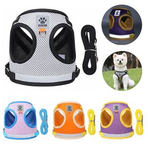 <span class=keywords><strong>Harnais</strong></span> et laisse réfléchissants de sécurité <span class=keywords><strong>pour</strong></span> chiens et chats de petite et moyenne taille, gilet de poitrine <span class=keywords><strong>pour</strong></span> chiots, Pug, <span class=keywords><strong>Chihuahua</strong></span>, Bouledogue - Product Image 2