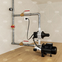 Pompe à eau automatique à moteur électrique 115V sans plomb en acier inoxydable fabriquée par GP Enterprises