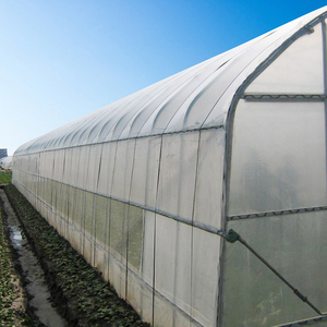 Baolida Plantas Agrícolas Casa Túnel de Fresas Invernadero Hidropónico Invernadero Vegetal - Product Image 6