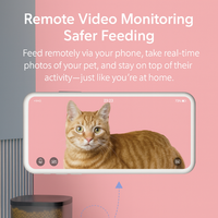 Mangeoire automatique portable pour animaux de compagnie avec distributeur d'eau Combo 3L Timed Portion Control Dual Power Anti-Jam Stylish OEM/ODM