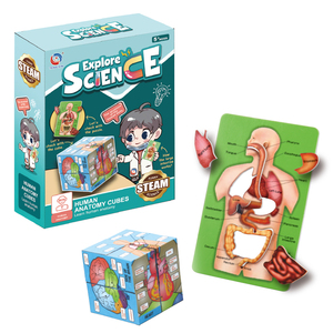 Juego de Órganos Humanos para <span class=keywords><strong>Educación</strong></span> Temprana, Juguete Educativo de Ciencia para Estudiantes de <span class=keywords><strong>Primaria</strong></span> <span class=keywords><strong>y</strong></span> <span class=keywords><strong>Secundaria</strong></span>, Rompecabezas DIY, Juguetes Cognitivos - Product Image 1