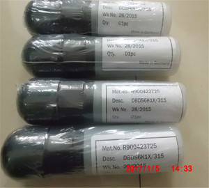 Hydraulic R900423725 DBDS6K1X/315 - Product Image 1