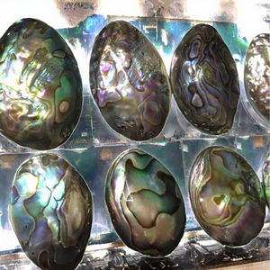 Oferta Especial: Colgante de Concha de Abulón Natural, Accesorios DIY para la Creación de Joyas, Incluye Cuentas de Hueso y Coral, Vietchoice de Vietnam - Product Image 3