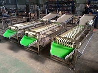 Appel Oranje Pruim Maat Sorteermachine Jujube Citroen Olijf Citrusvruchten Sorteermachine Te Koop
