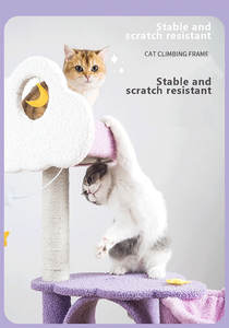 Alberi per Gatti Bestseller con Amaca e Casetta, Fornitura Diretta dalla Fabbrica - Product Image 6