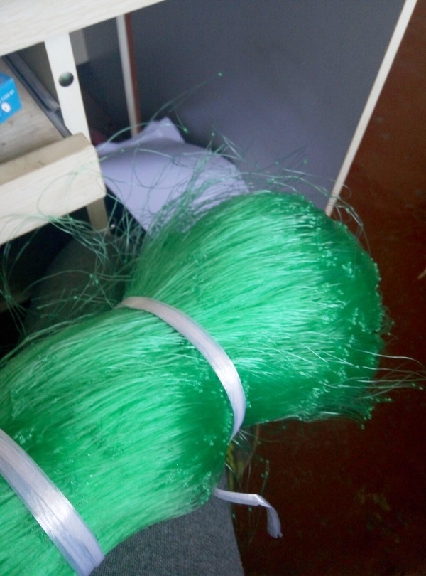 Vert