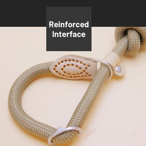 Hot Selling <b>Nylon</b> Dog Leash <b>Slip</b> Lead Snap Hook Rope Leash Pet Supplier Dog Leash for Training Hiking - Product Image 4