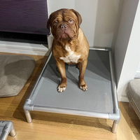 Lit surélevé pour chien en aluminium résistant aux intempéries, résistant aux morsures, lit rafraîchissant pour animaux de compagnie, léger, pour toutes les tailles de chiens