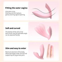 Vibrateur pour couples à télécommande JT APP, vibrateur clitoridien en silicone, culotte vibrante, jouets sexuels pour femmes adultes.