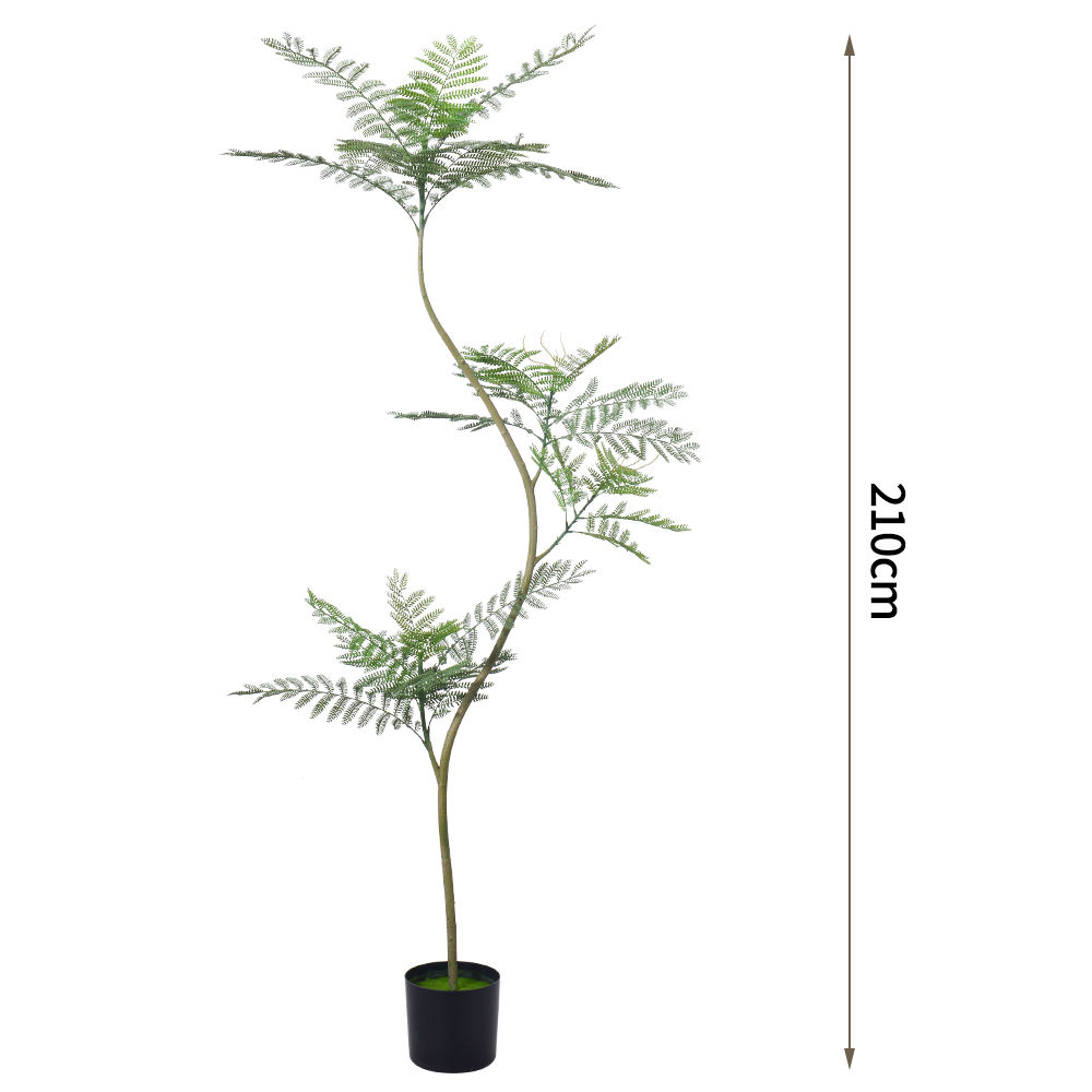 แบบจำลองต้น Jacaranda 210ซม