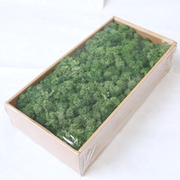 Konservierte Blumen & Pflanzen 500g Quadratische Konservierte Moosbox-Verpackung Natürliche Moos-Pflanzenwand-Dekoration für Muttertag Weihnachten