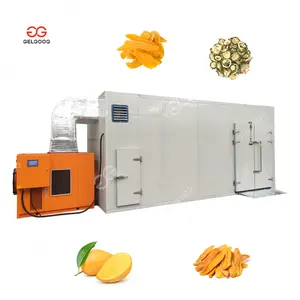 Gelgoog, Equipo Deshidratador de mango de frutas de alta capacidad, línea de deshidratación de verduras para lavar y cortar