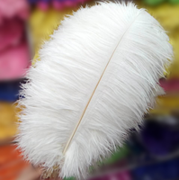 Offre Spéciale Plumes d'autruche artificielles blanches 55-60 cm, longues et naturelles, pour fêtes et mariages, vente en gros à prix abordable
