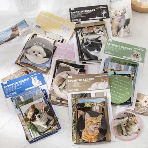 40件/包游记可爱爱心宠物机密系列猫狗韩国杂志装饰风格6款